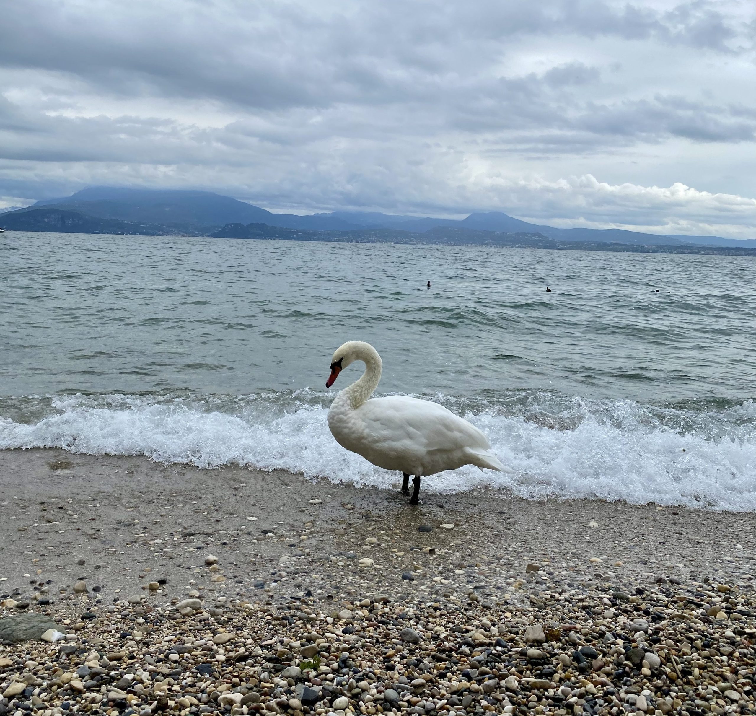 Sirmione